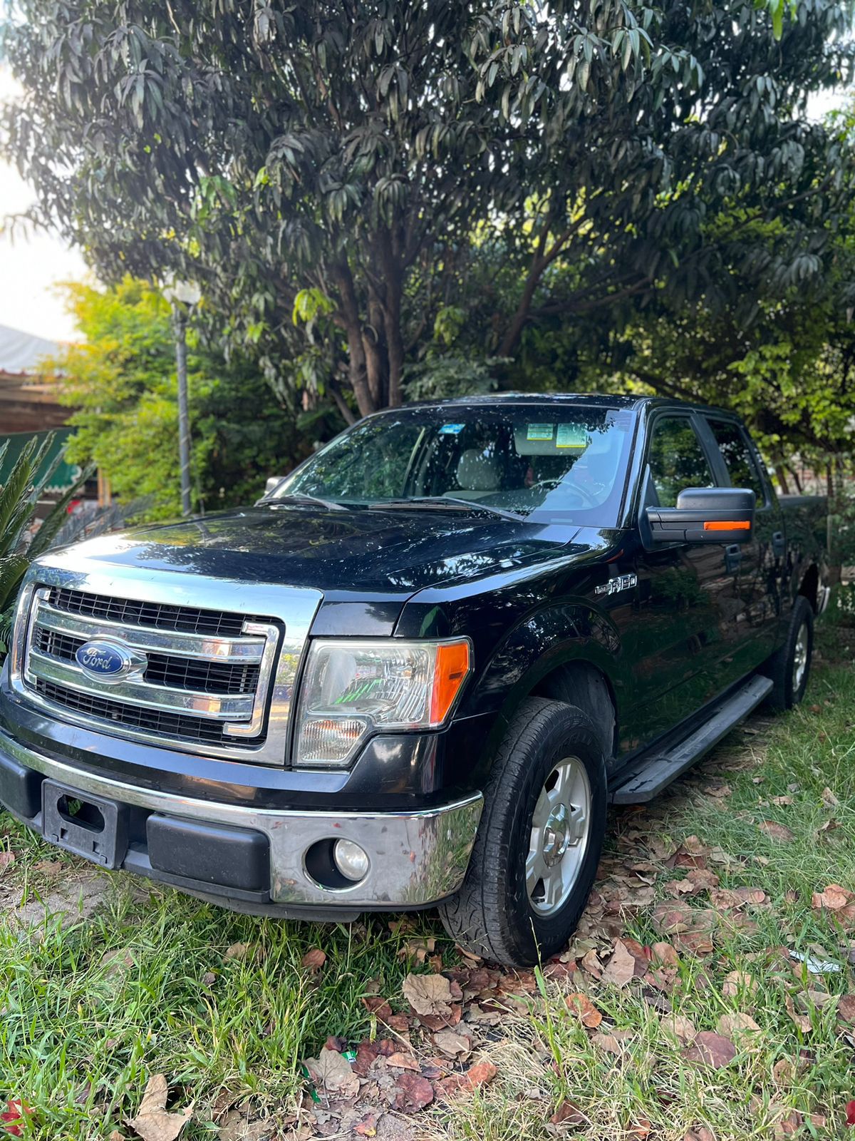 2013 FORD F150